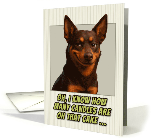 Australian Kelpie Dog Humorous Getting Older Birthday card (1948654)