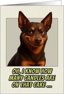 Australian Kelpie Dog Humorous Getting Older Birthday card