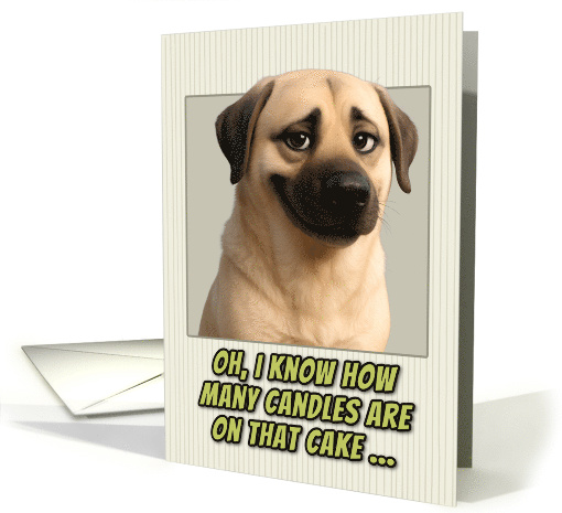Anatolian Shepherd Dog Humorous Getting Older Birthday card (1948656)
