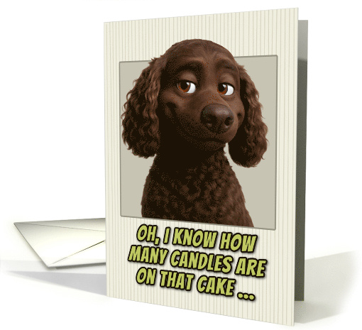 American Water Spaniel Dog Humorous Getting Older Birthday card