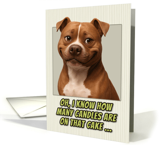 American Pitbull Terrier Dog Humorous Getting Older Birthday card