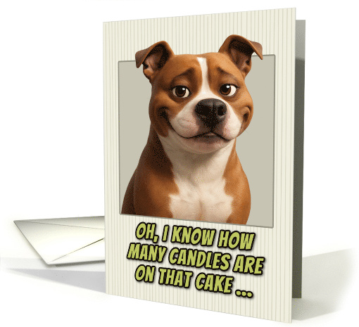 American Staffordshire Terrier Dog Humorous Getting Older... (1949376)