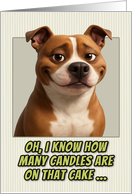 American Staffordshire Terrier Dog Humorous Getting Older Birthday card