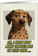 American Leopard Hound Dog Humorous Getting Older Birthday card