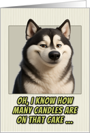 Alaskan Malamute Dog Humorous Getting Older Birthday card