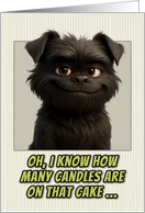 Affenpinscher Dog Humorous Getting Older Birthday card