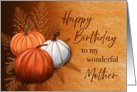 Fall Season Happy Birthday To My Wonderful Mother card