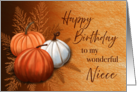 Fall Season Happy Birthday To My Wonderful Niece card