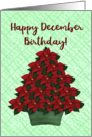Happy December Birthday Red Poinsettia Tree card