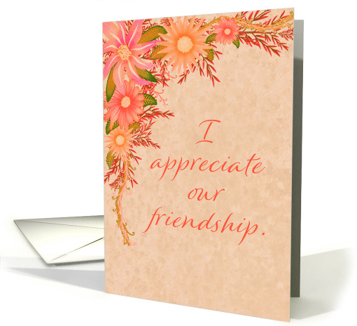 I Appreciate Our Friendship Illustrated Peach Coral... (1853150)