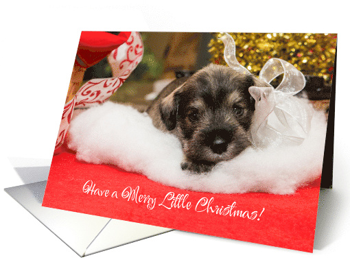 Have a Merry Little Christmas Miniature Schnauzer on Cotton Cloud card
