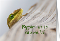 Friendship Green Lizard Head Poppin’ In To Say Hello card
