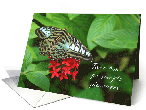 Take Time for Simple Pleasures Clipper Butterfly on Red Flowers card