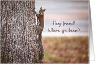 Hey Friend Where Ya Been Squirrel Hanging on Tree card