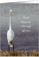 Great White Egret Heard Things Are A Bit Rough Right Now card