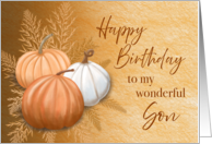 Fall Season Happy Birthday To My Wonderful Son card