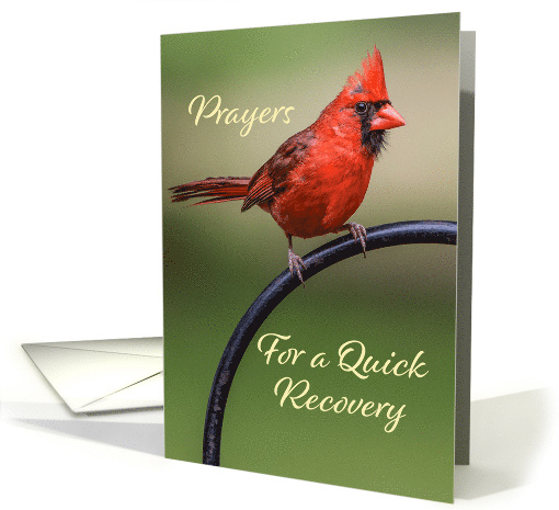 Prayers for a Quick Recovery Red Cardinal on Perch card (1893328)