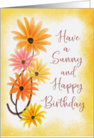 Have a Sunny and Happy Birthday Daisy Flowers Colorful Bright card