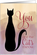 Birthday Black Cat Silhouette You Are the Cat’s Meow card