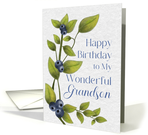 Happy Birthday to My Wonderful Grandson Watercolor Blueberries card