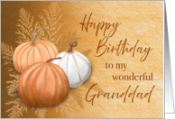 Fall Season Happy Birthday To My Wonderful Granddad card