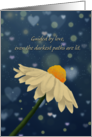 Guided by Love Even Darkest Paths Are Lit Daisy Bokeh Lights card