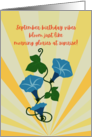 September Birthday Vibes Bloom Morning Glories Sunrise card