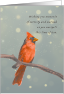 Wishing You Moments of Serenity Red Cardinal card
