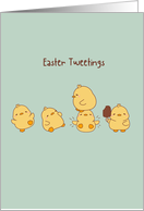 Easter Playful Cute Yellow Chicks card