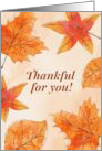 Thankful For You Fall Autumn Leaves Thanksgiving card