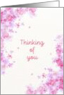 Thinking Of You Pink Watercolor Flowers card