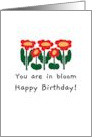 You Are In Bloom Happy Birthday Red And Yellow Flowers card