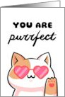You Are Perfect Cute Cat With Heart Shaped Sunglasses Love card