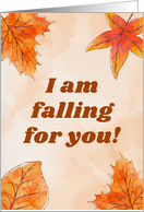 I Am Falling For You Thanksgiving Love Fall Autumn Foliage Leaves card