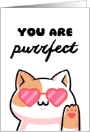 You Are Perfect Cute Cat With Heart Shaped Sunglasses Valentine’s Day card