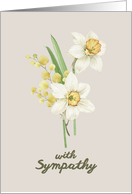 With Sympathy White Narcissus Flowers card