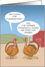 Humorous Thanksgiving With Two Turkeys Plans For Thanksgiving card