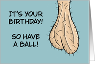Humorous Adult Birthday Card With Hanging Testicles Have A Ball card