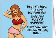 Funny Adult Friend Birthday Big Panties Are Like Best Friends card