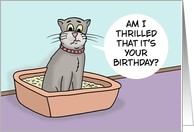 Funny Adult Birthday Card With Cartoon Cat In Litterbox card