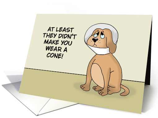 Funny Get Well Card With Cartoon Dog Wearing A Cone card (1868748)