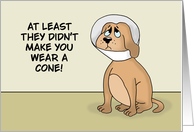 Funny Get Well Card With Cartoon Dog Wearing A Cone card