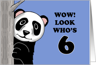 Cute Birthday Card For A Boy Turning 6 With Cartoon Panda card