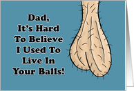 Funny Adult Father’s Birthday Card I Used To Live In Your Balls card