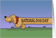 Humorous National Dog Day With Cartoon Dachshund With Words On It card