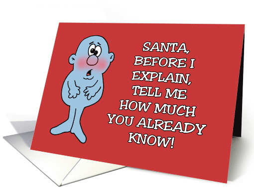 Funny Christmas Santa Tell Me How Much You Already Know card (1876568)