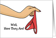 Adult Love And Romance Well Here They Are You Said You Wanted card