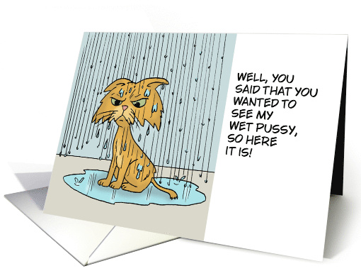 Adult Love and Romance You Said You Wanted To See My Wet Pussy card