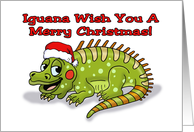 Humorous Christmas Iguana Wish You A Merry Christmas card