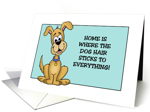 Funny Birthday Home Is Where The Dog Hair Sticks To Everything card